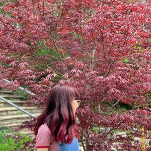 Meet your Posher, Sam